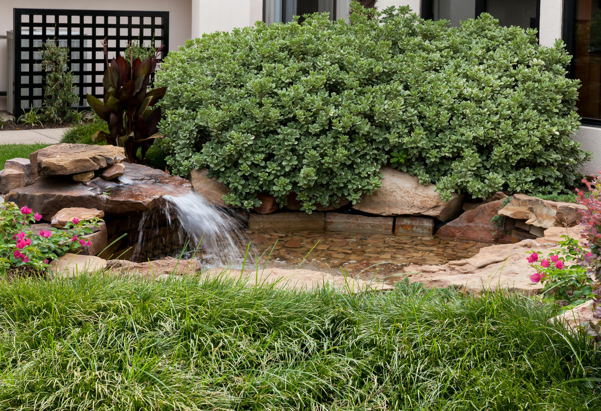 Hotel Courtyard By Marriott